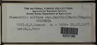 Image Associated With the Occurence
